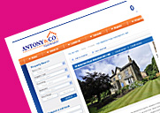 Letting Agent Website Design